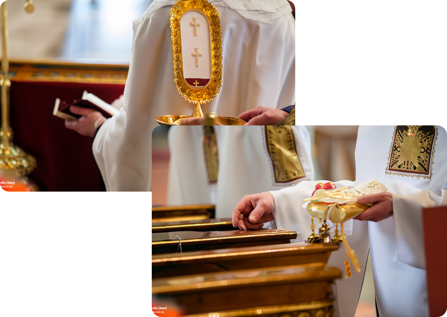  Image of Collecta Anual by MRP